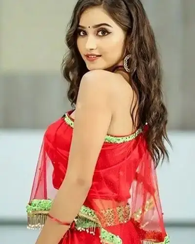 Call Girls Service Narasimharajapura
